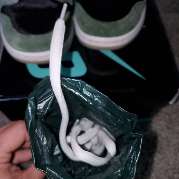 Nike SB Dunk- "Walk the dog" - Picture 7 of 8